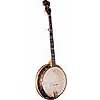 Banjos Under $250