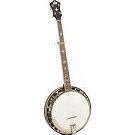 Recording King RK-R35 Madison Resonator Banjo - Bluegrass Instruments