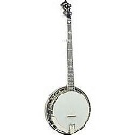 Recording King RK-Elite-75 Banjo - Bluegrass Instruments