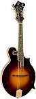 The Loar LM-700-VS Mandolin Supreme Series - Bluegrass Instruments