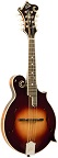 The Loar LM-600-VS Professional Series Mandolin - Bluegrass Instruments