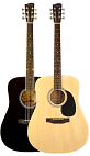 Savannah SGD-12 Dreadnought Guitar - Bluegrass Instruments