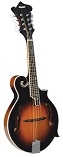 Morgan Monroe MM-100FM F-Style Mandolin - Bluegrass Instruments