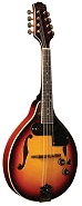 Morgan Monroe RT-M1E Mandolin - Bluegrass Instruments