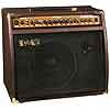 RMS Acoustic Guitar Amp - Bluegrass Electronics