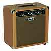 RMS TRANZAMP Acoustic Guitar Amp - Bluegrass Electronics