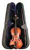 Palatino Anziano Violin Outfit