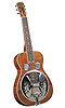 Professional Series Dobro Guitar