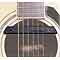 Fishman Rare Earth Blend Active Sound Hole Pickup - Bluegrass Electronics