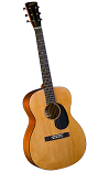 Accent CS-2 Acoustic Folk Guitar