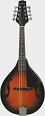 Savannah SA-100  A-Model Mandolin